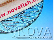 Alaska Arrowtooth Flounder Fillets