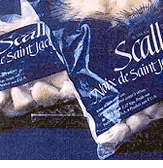 Individually Frozen Scallops at Sea